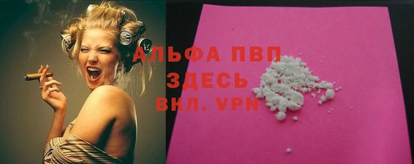 индика Абинск